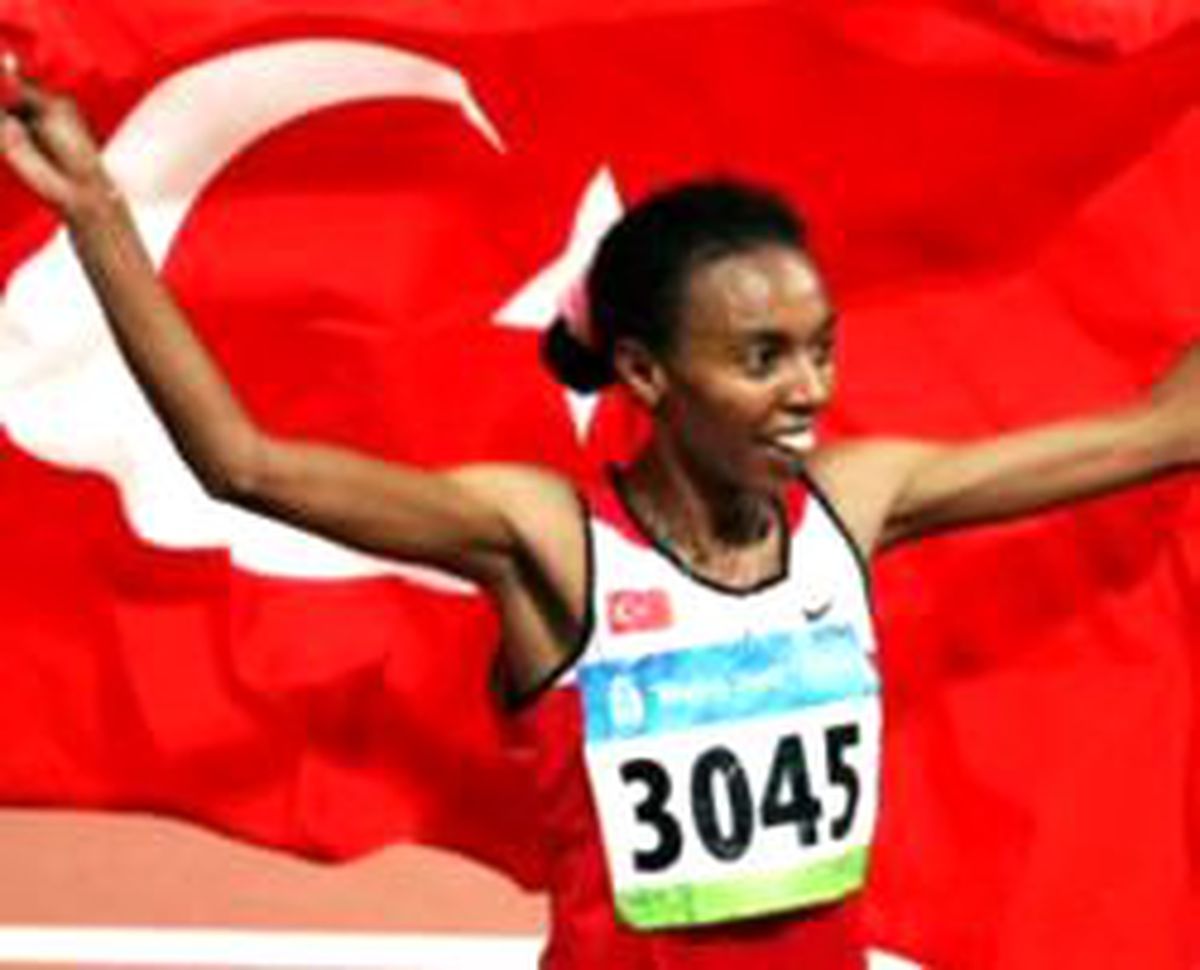 Elvan Yine İddialı