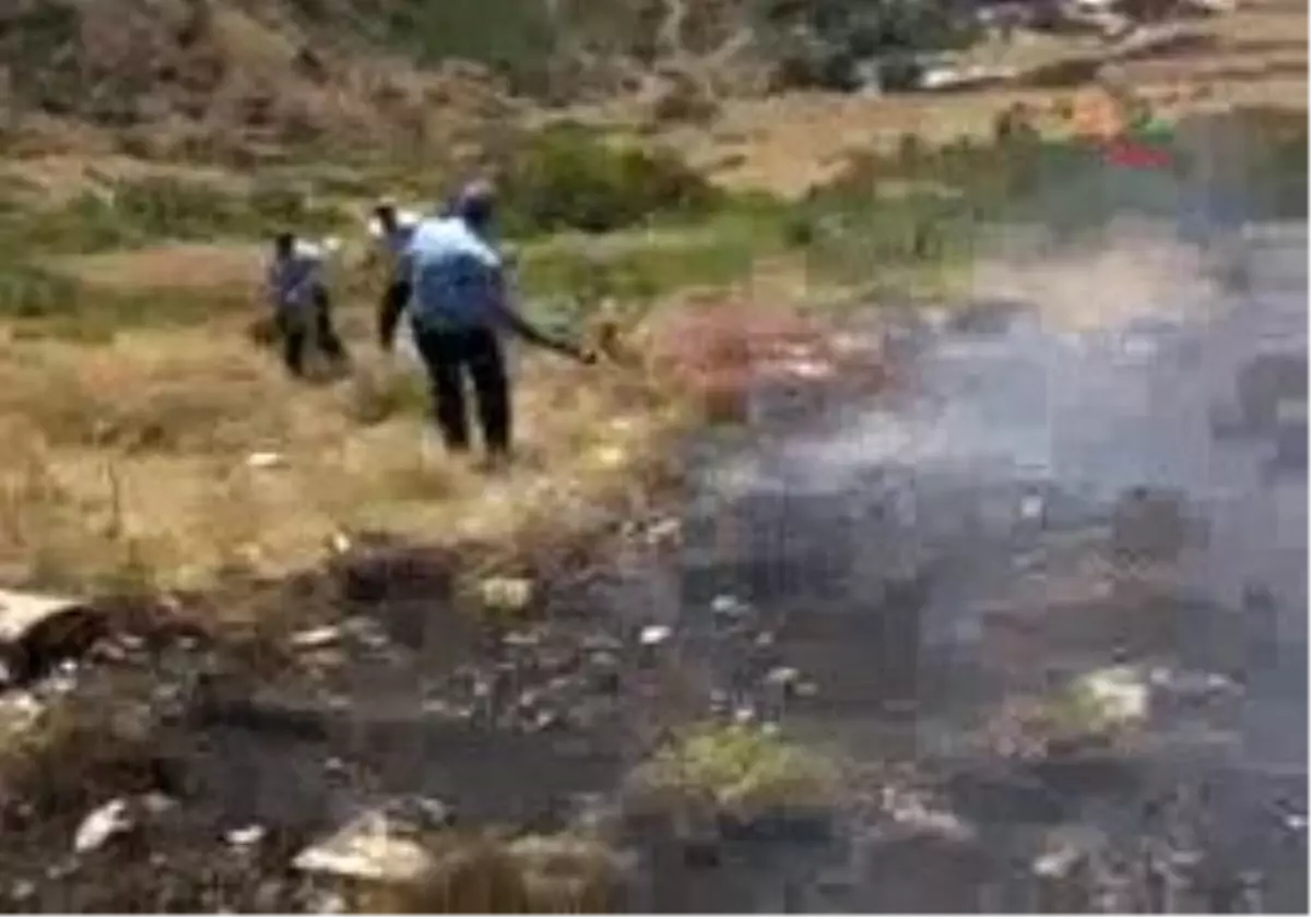 Tatvan-Yılanı Öldürmek İsterken Ormanı Yaktı