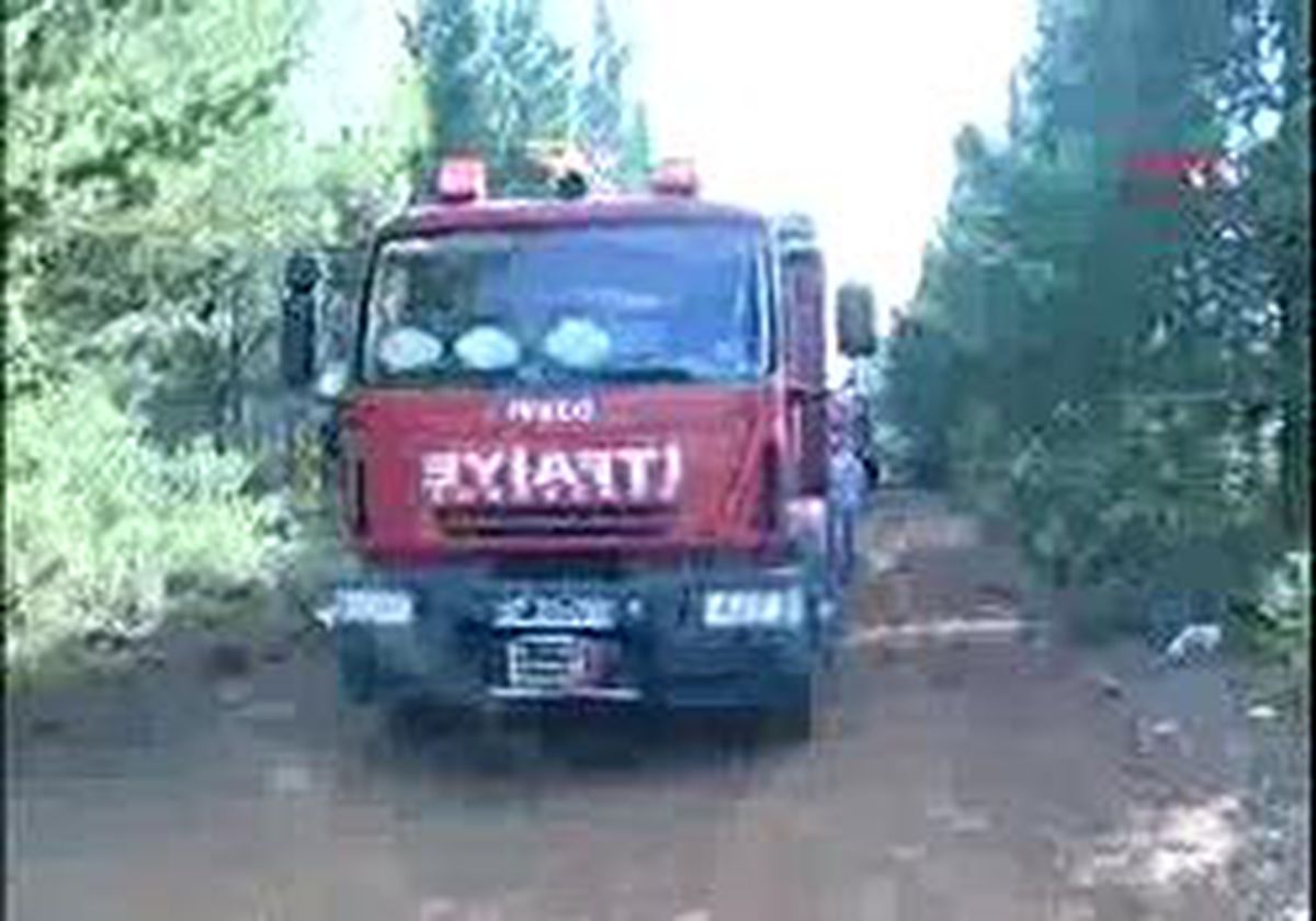 Antalya Ormanı Yakanı Yakalayıp Jandarmaya Teslim Ettiler