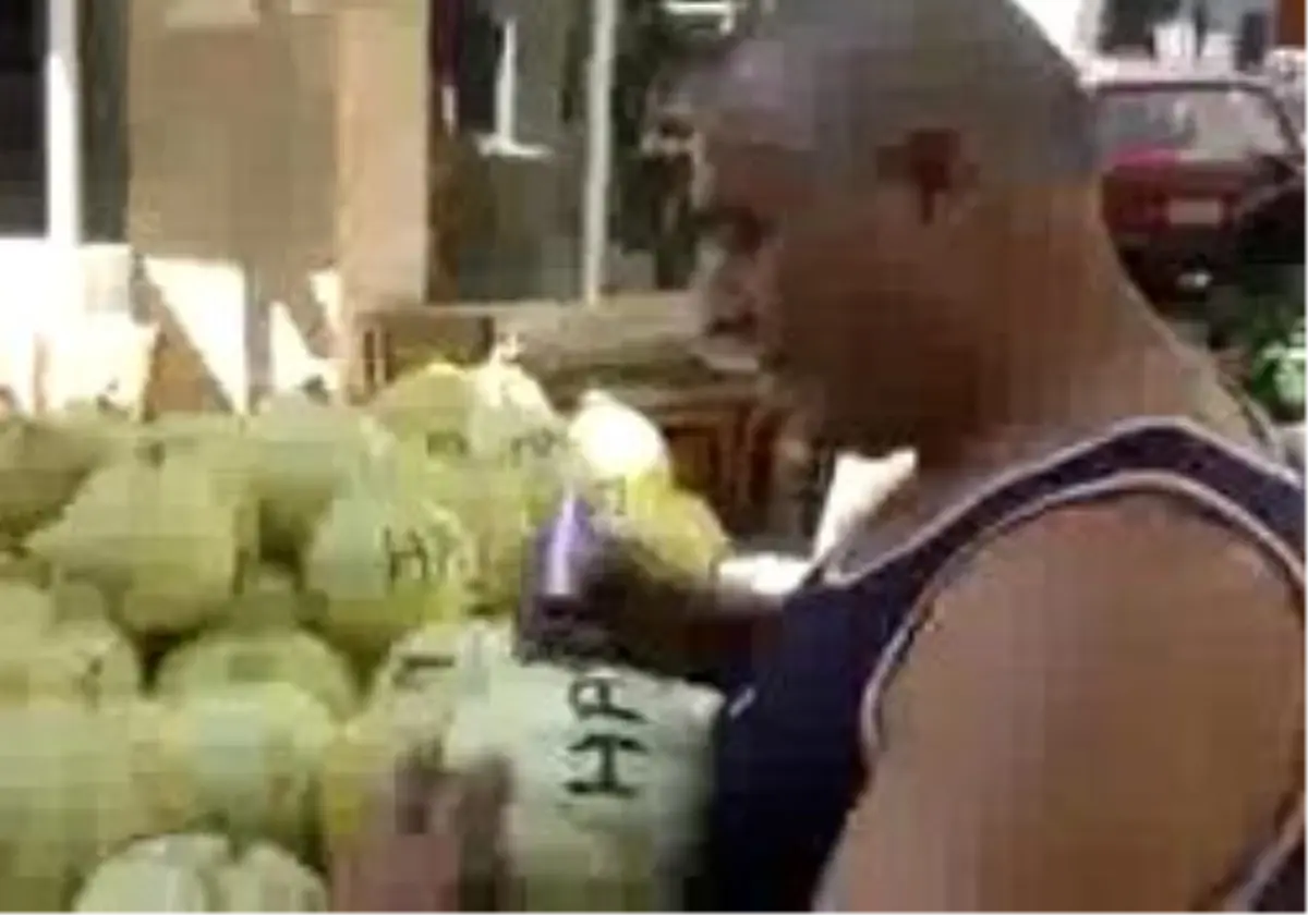 Bandırma \'Hayır\' Yazılı Kavunlar
"Hayır\' Yazdığım Kavunlar Çabucak Tüketiyor. Her Gün 50\'Den Fazla Kavun Satıyorum".