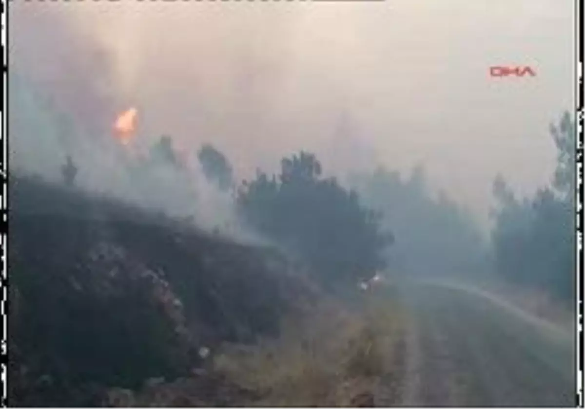 Bergama\'daki Yangında Havadan Ve Karadan Sündürme Çalışmaları Sürüyor
Soma Ve Bergama´Da Korkutan Yangın Haberine Ek