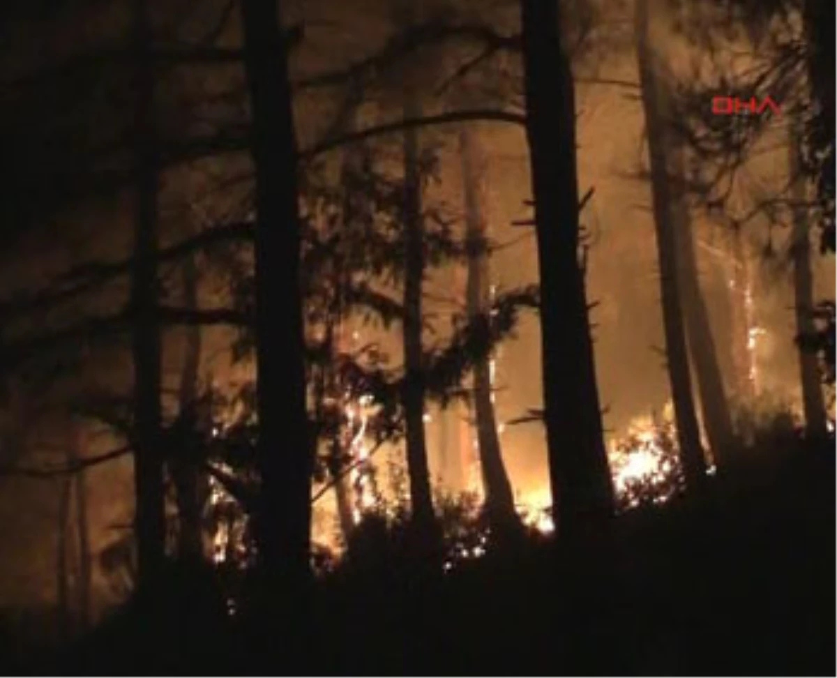 Erdek\'te 3 Ayrı Bölgede Orman Yangını