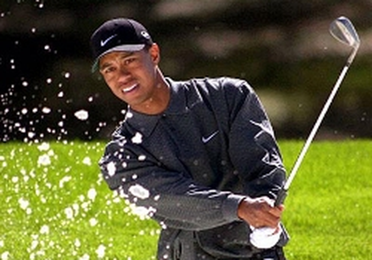 Tiger Woods Boşandı