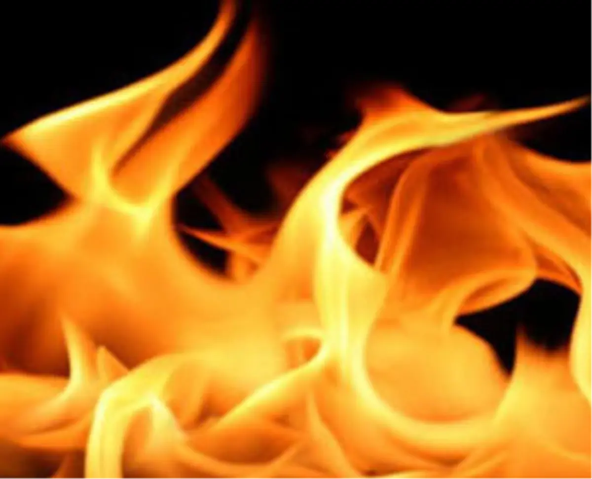 Antalya\'da Orman Yangını