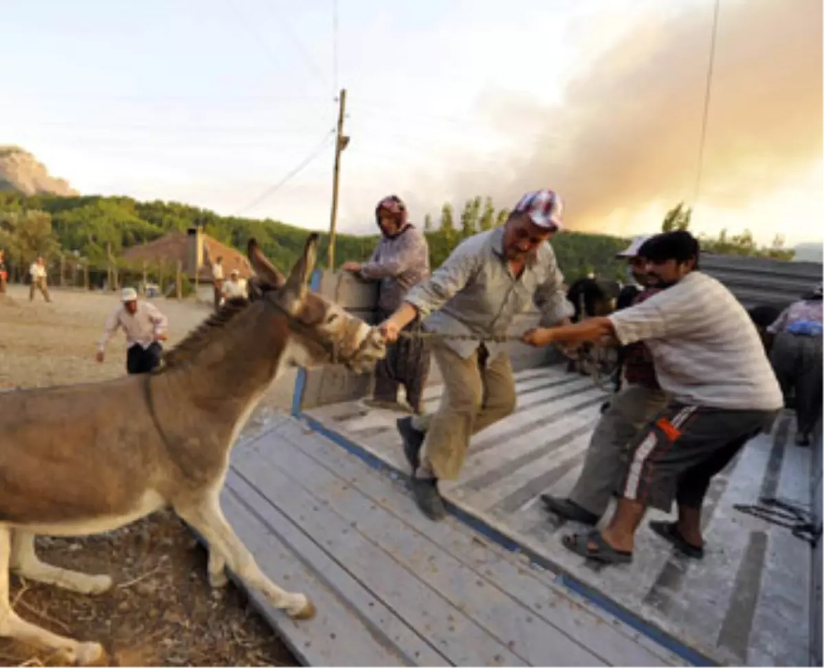 Antalya\'nın Karaöz Beldesi\'ndeki Orman Yangını...