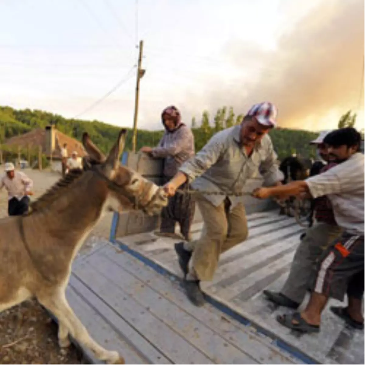 Şimdi de Burdur Yanıyor