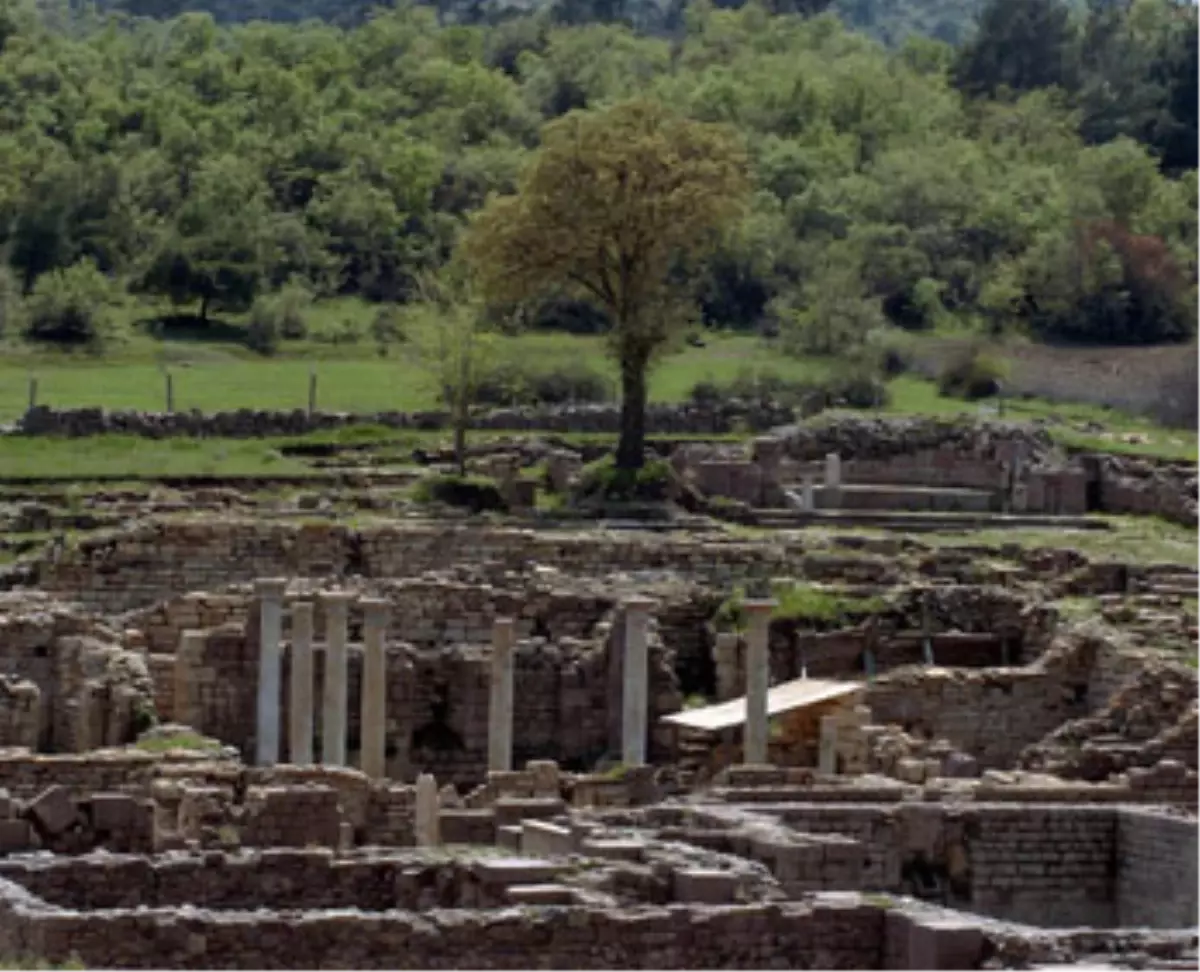 Bakan Eroğlu\'dan Tarkan\'a Fırça