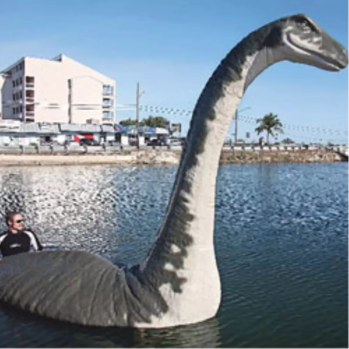 'Van Gölü Canavarı Uzaylı'