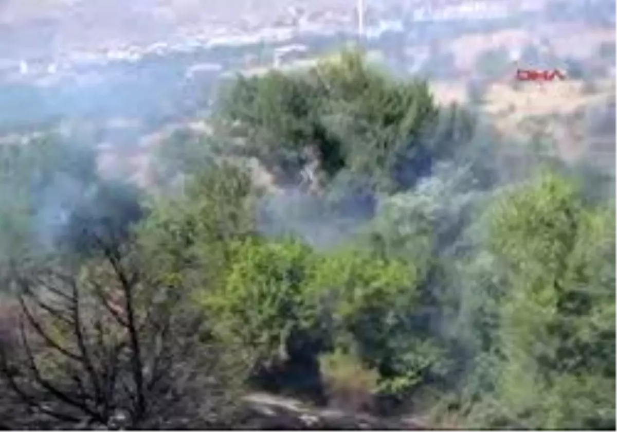 Yozgat - Çalı Yangını 100 Dekarlık Üzüm Bağları Ve Meyve Ağacını Kül Etti