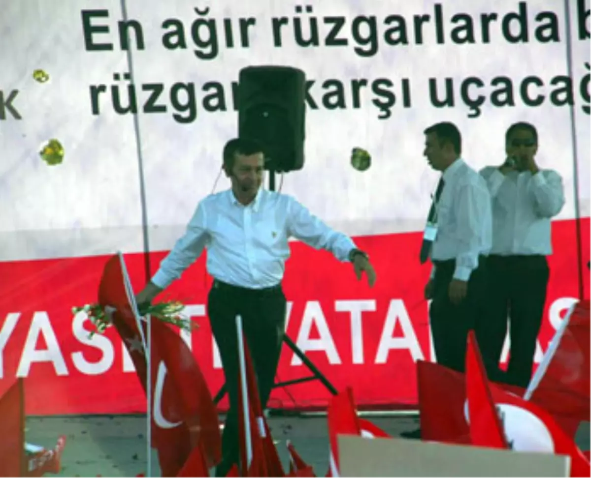 Fareler, Tilkiler. Tavşanlar...
