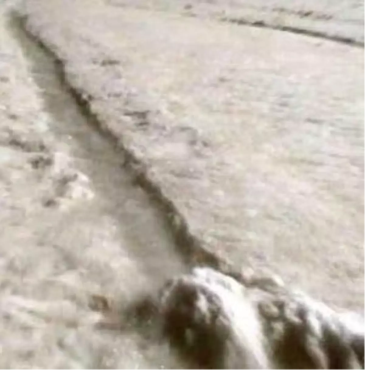 Şapka Buzulları Eriyor