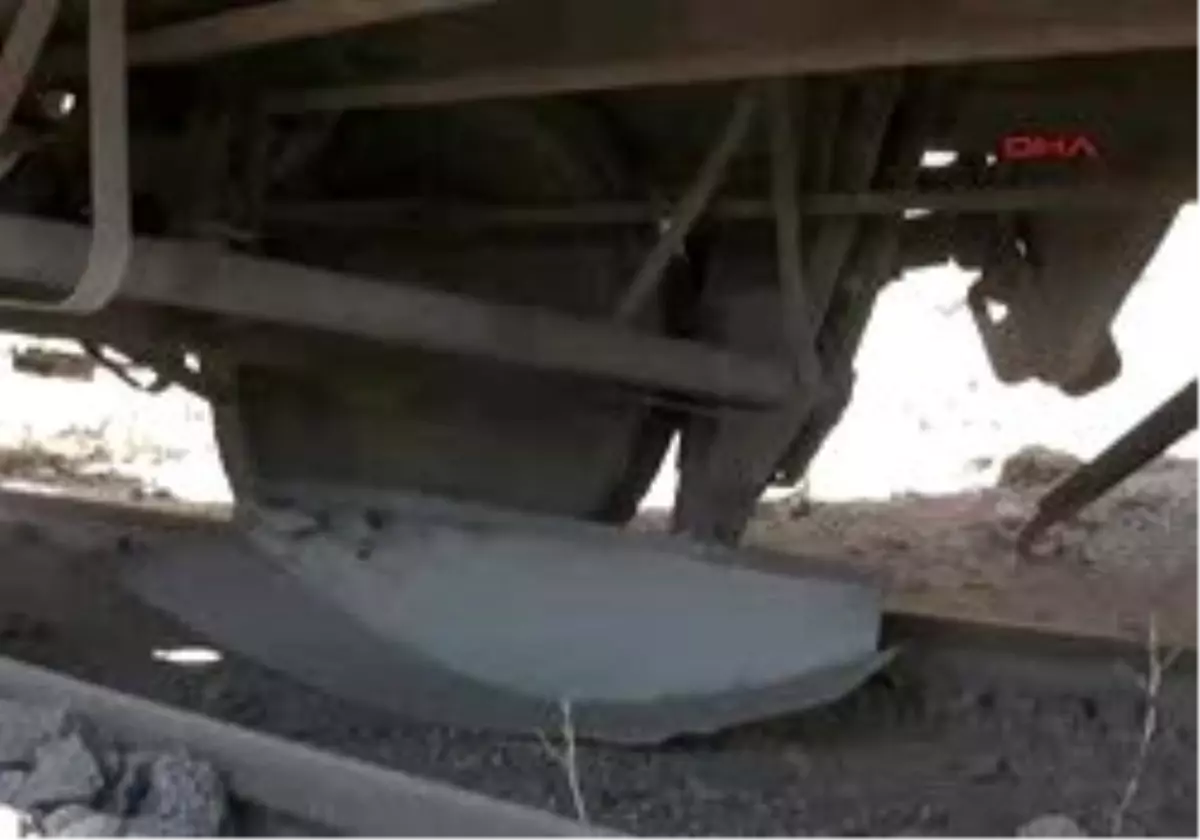 Erzincanarşivhain Tuzak 17 Gün Sonra Ortaya Çıktı