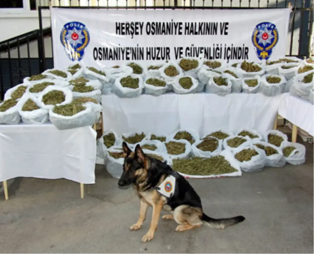 Osmaniye\'de Uyuşturucu Operasyonu