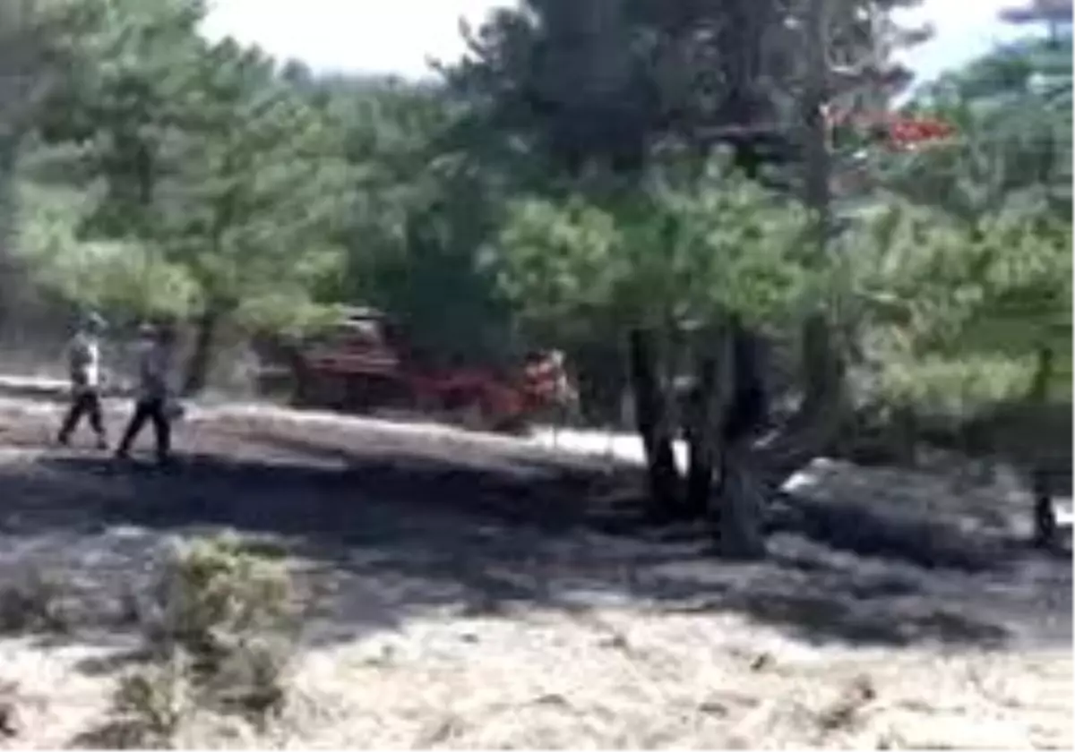 Denizli´De Orman Yangını
Denizli´De Orman Yangını