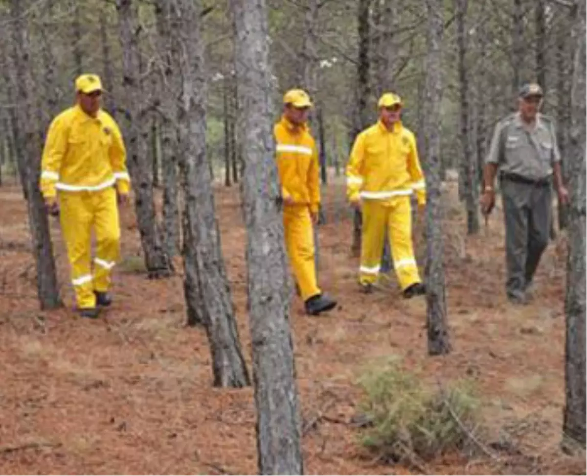 Kayıp Öznur'u Ormancılar da Aradı