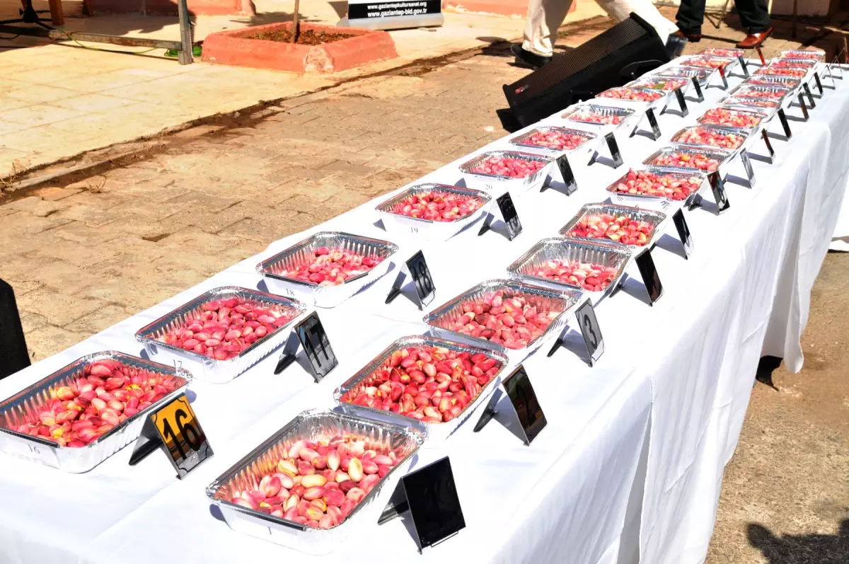 En İyi Fıstık Seçildi