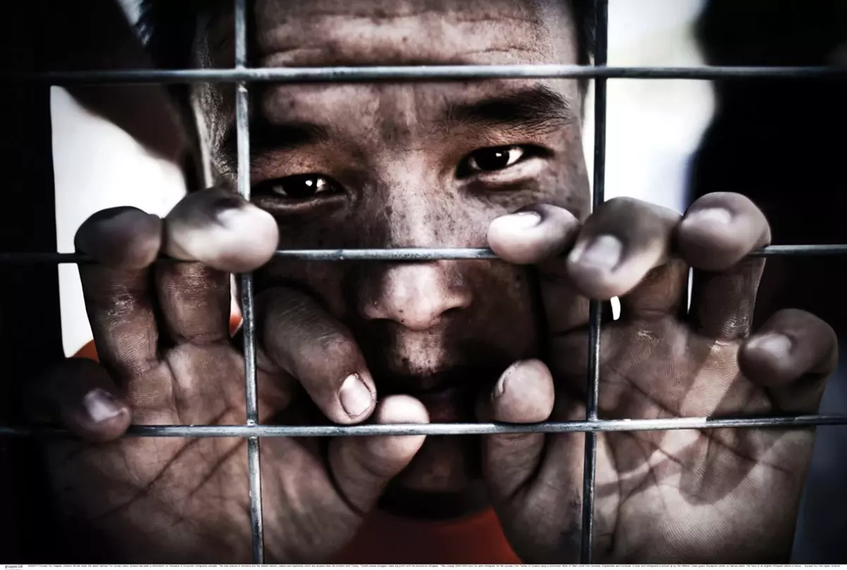 Hayatımız Fotoğraf Fotoğraf Günleri