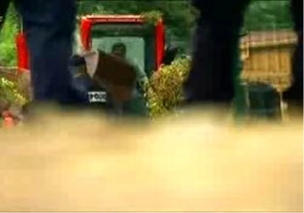 Sarkozy, Almanya?Yı Karıştırdı