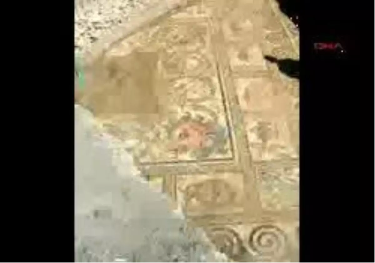 Zonguldak - Sera Kurarken Bulunan Mozaik, Tarihi Villayı Gün Yüzüne Çıkarıyor