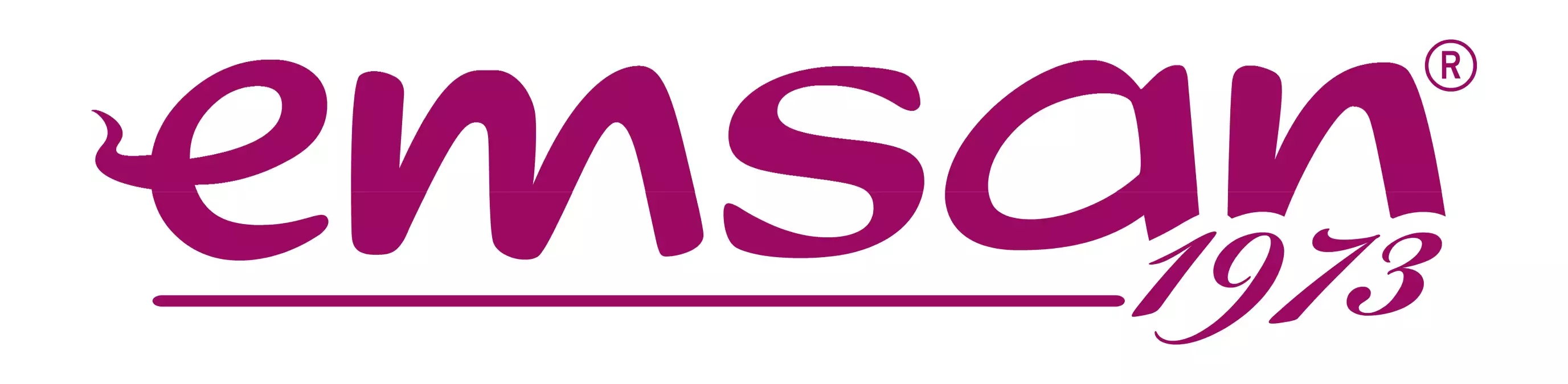 Emsan\'dan 2010\'da 700 Bayi İle 20 Milyon Tl Ciro