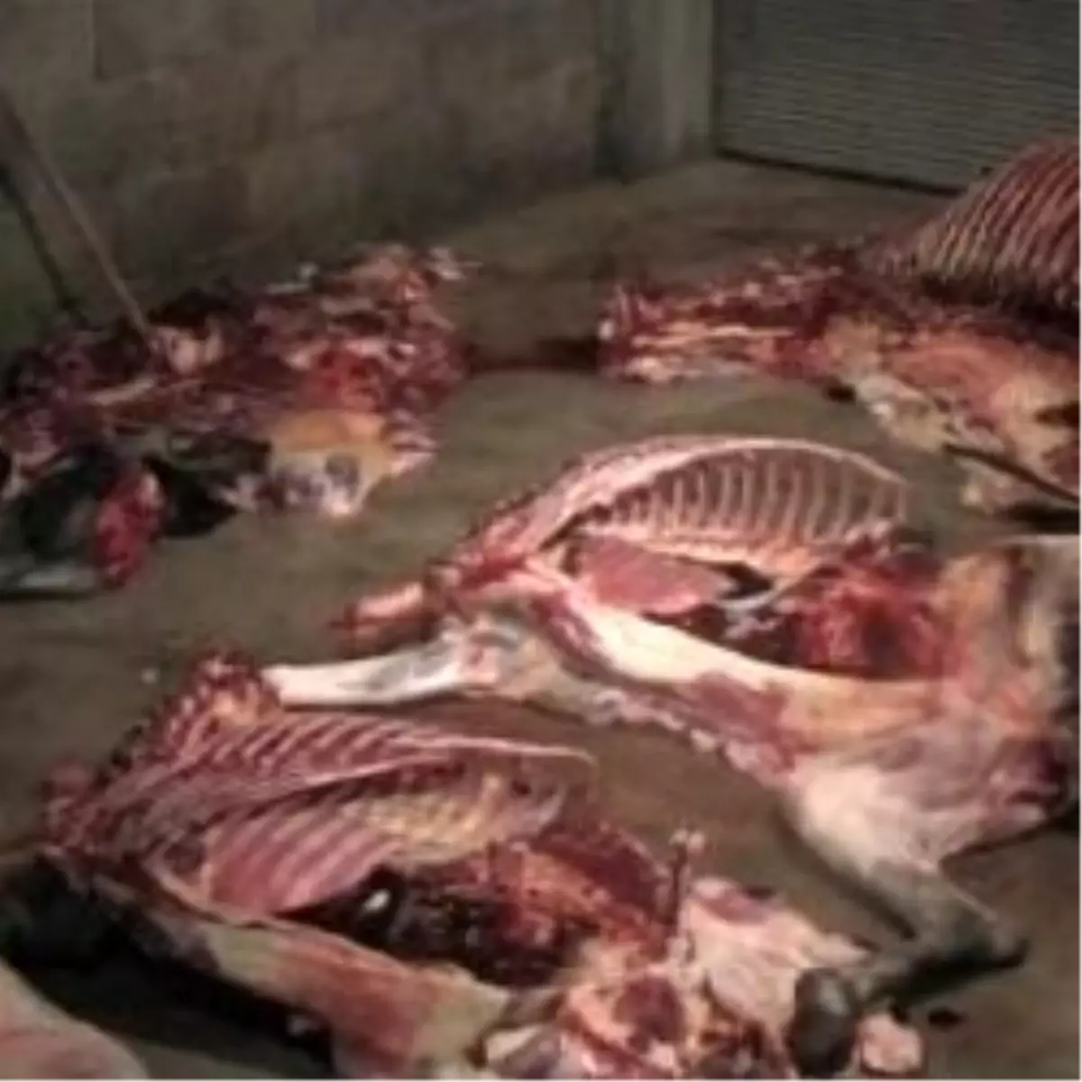 "Biz de Yiyoruz Ne Var Bunda\'