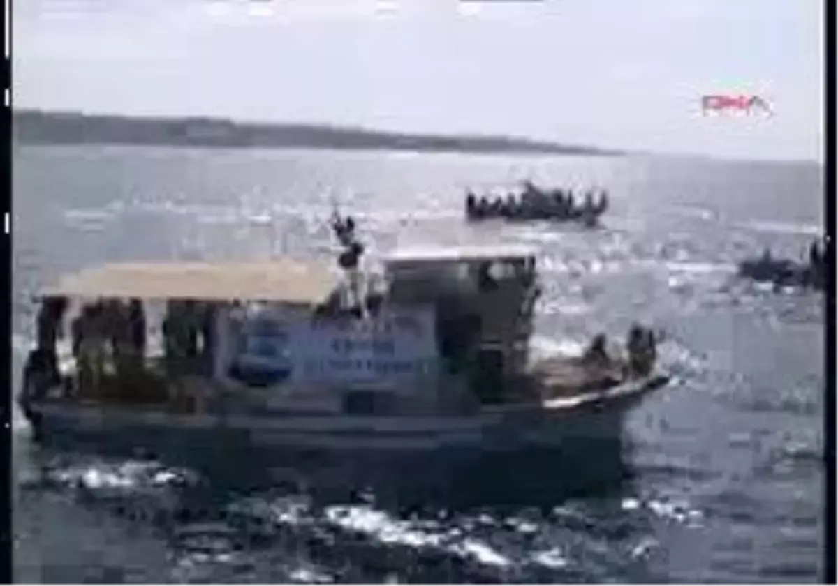 Seferihisar2 Orkinos İsyanı