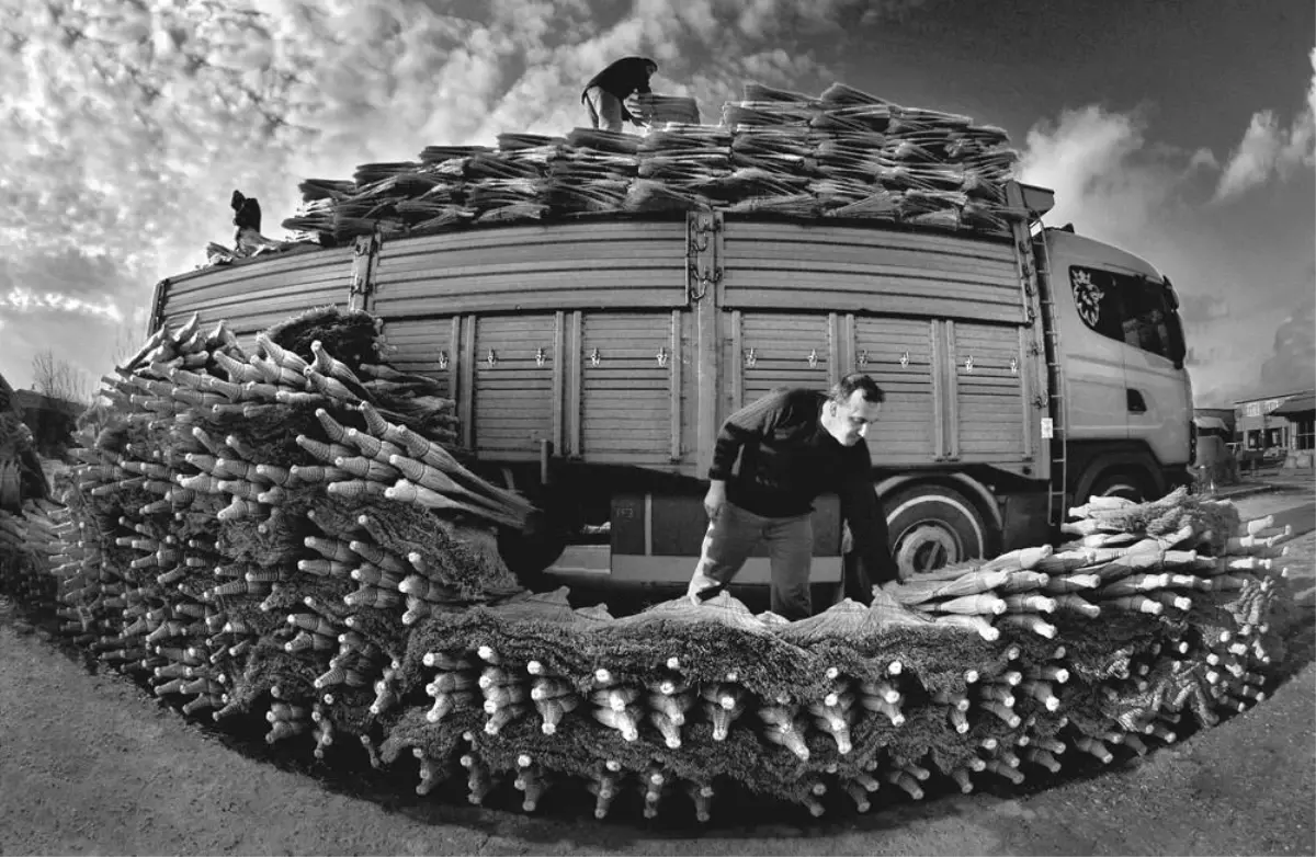 ABD- Boston Güzel Sanatlar müzesi