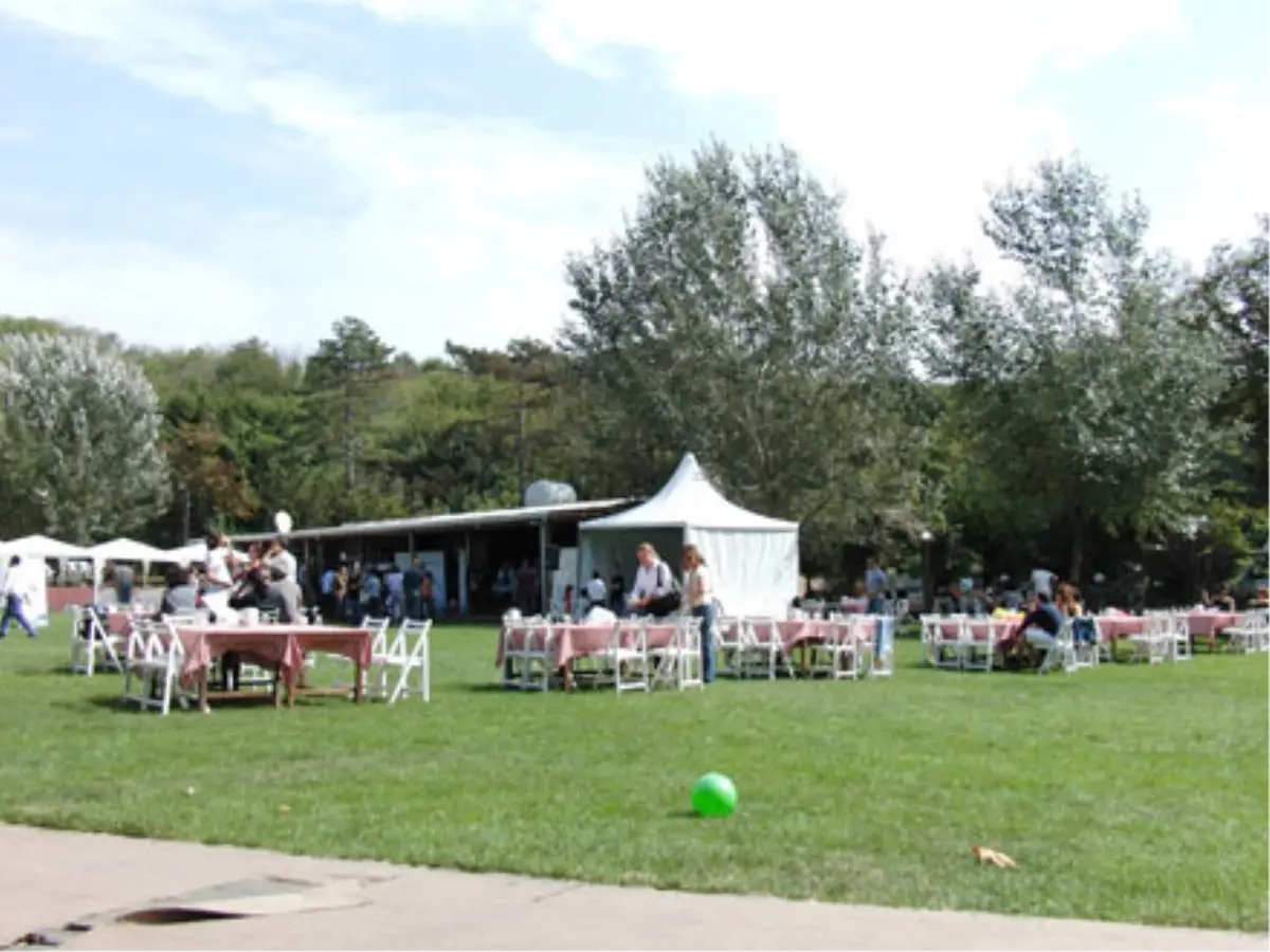 Bilişim Muhabirleri Stres Attı