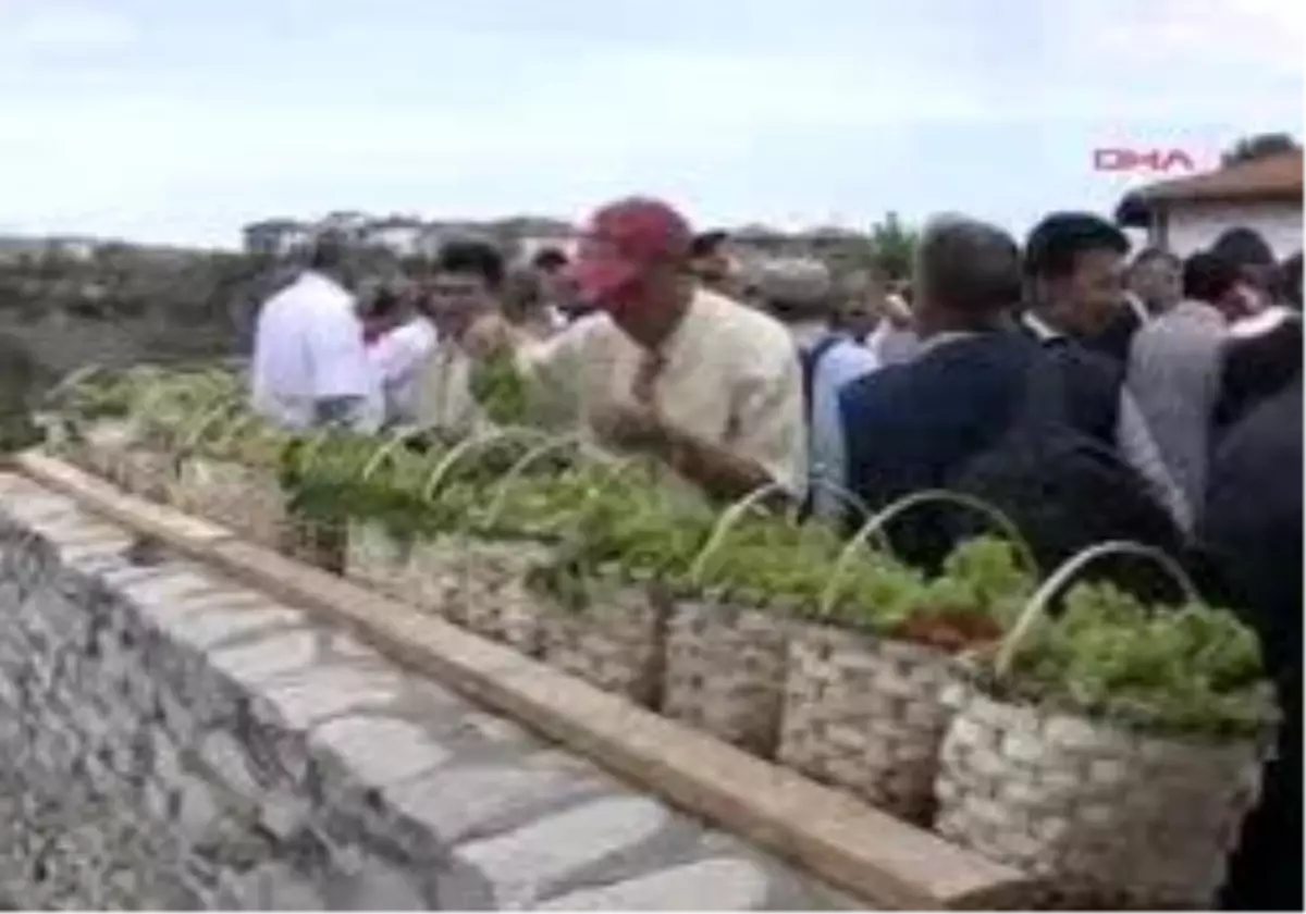 Karabük Bağ Bozumu Şenliği´Nde Üzümler Ve Güzeller Yarıştı