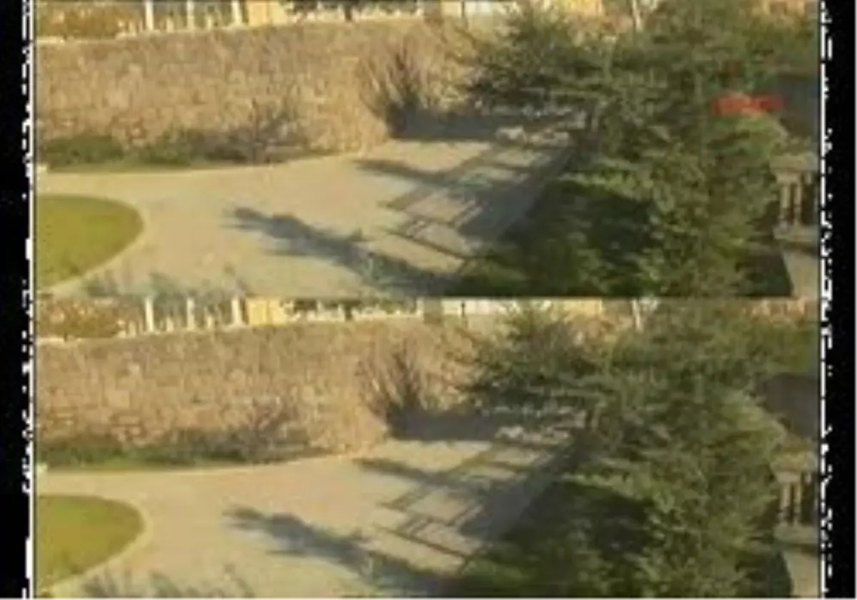 Başkentte \'Heykel\' Hırsızları Yakalandı