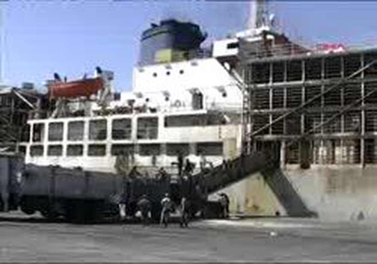 Mersin - Uruguay?Dan Alınan Büyükbaş Hayvanlar Mersin Limanı\'na Geldi