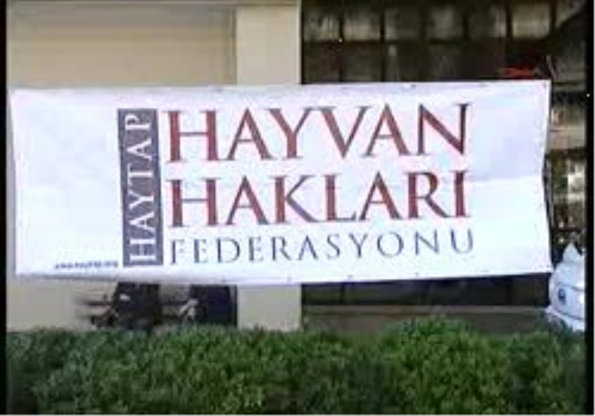 İzmir Hayvanseverler Yasal Değişiklik İstedi