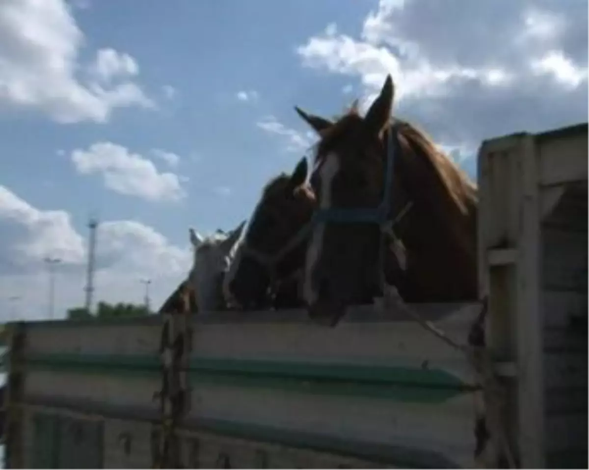 Vatandaşı Kaçak Et Korkusu Sardı!