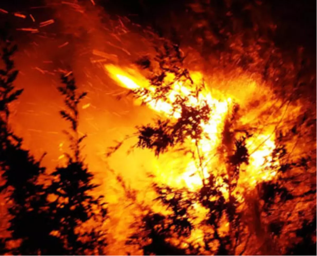 Yanan Ciğerlerimiz!...