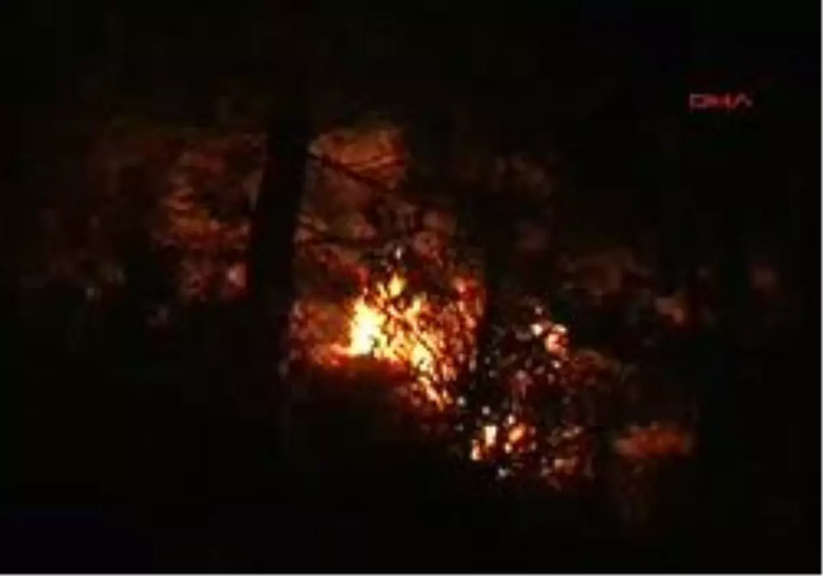 Muğla - Yılanlı Dağları´Nda Korkutan Orman Yangını : 3 Yaralı
*Sarp Arazideki Söndürme Çalışmaları Sırasında Düşen İki Orman İşçisi İle Bir Köylü Yaralandı.