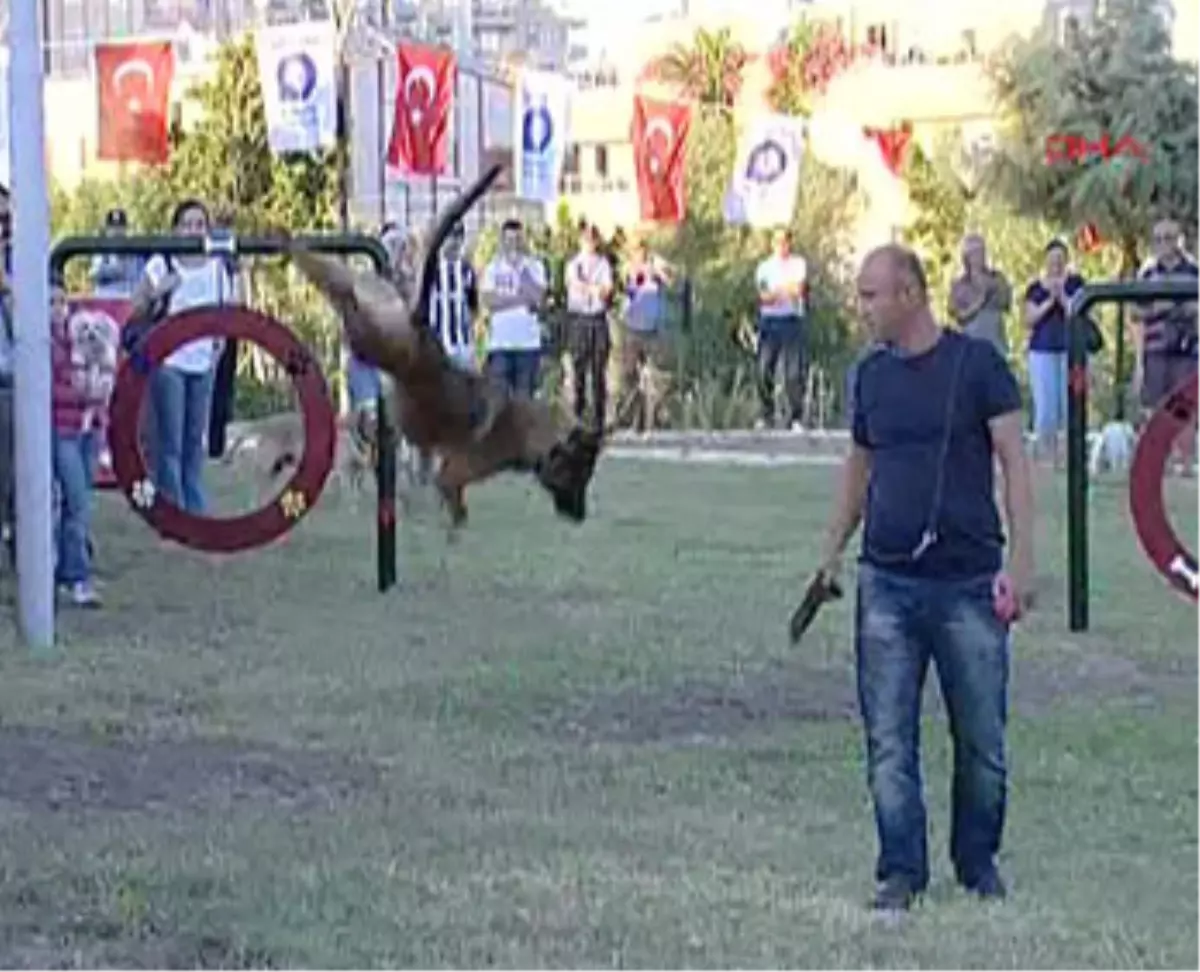 Antalya Büyükşehir Belediyesi Köpek Parkı Açtı