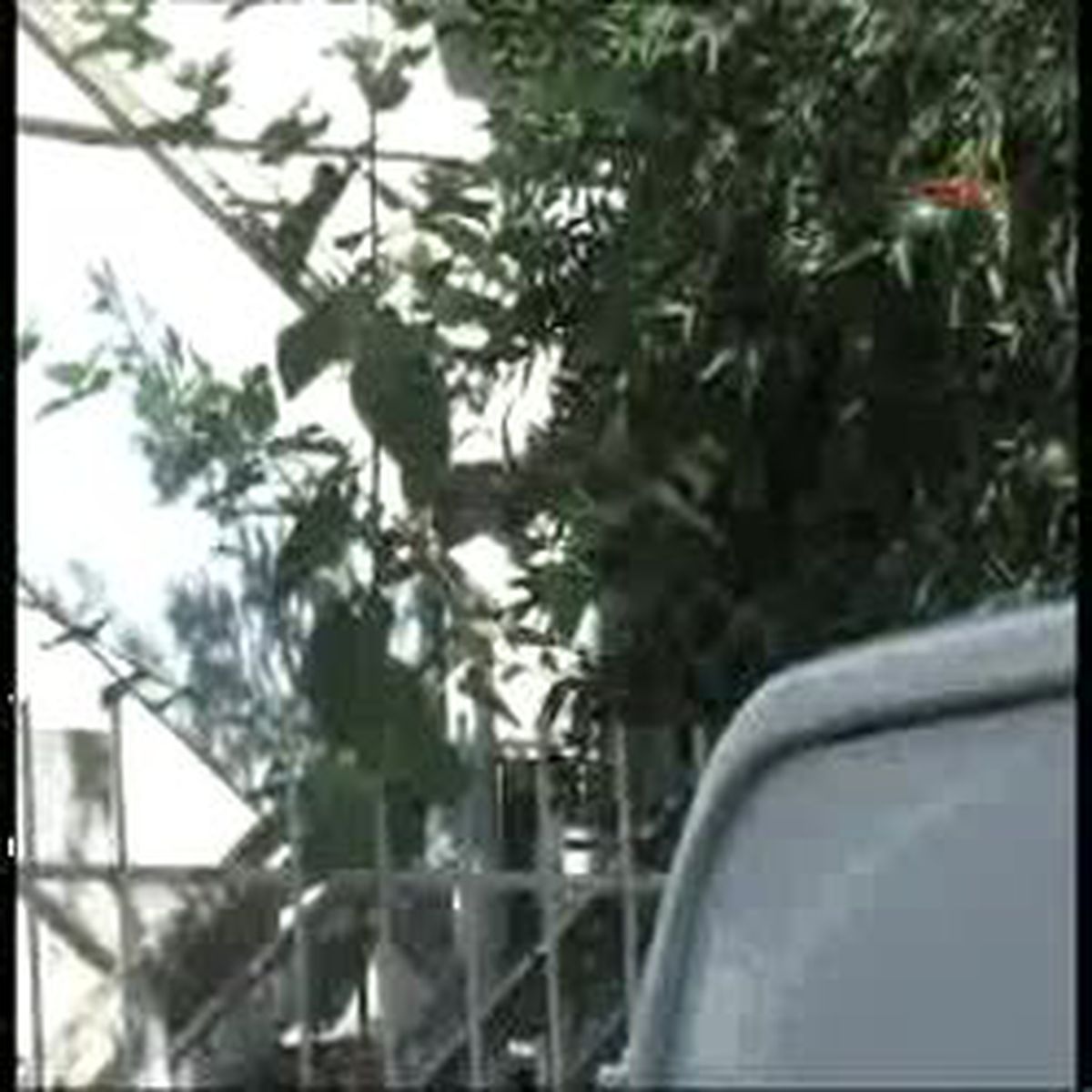 Adana - Çocuklara Camide Taciz İddiası