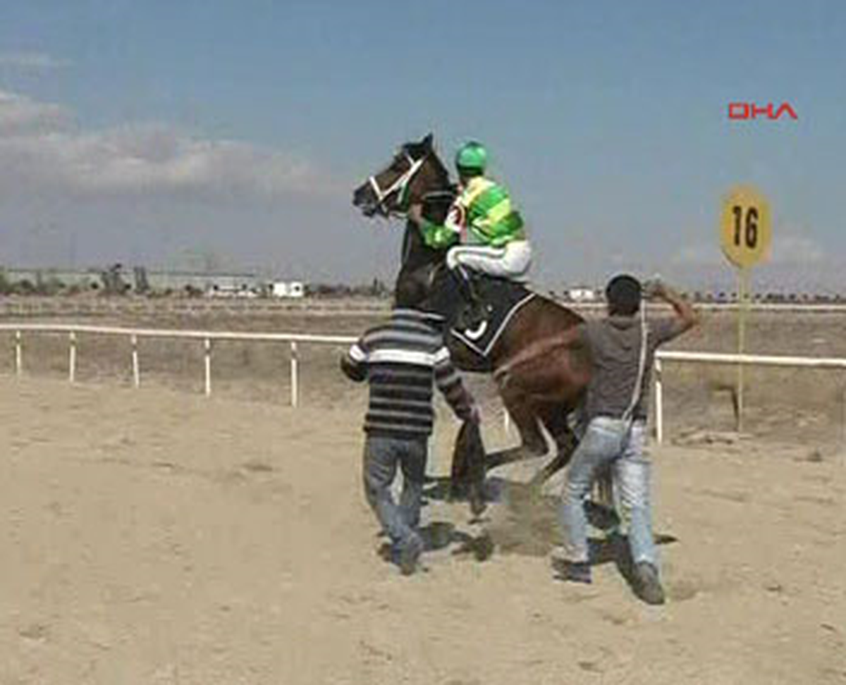 Atlar Yarıştı Onlar Kapıştı