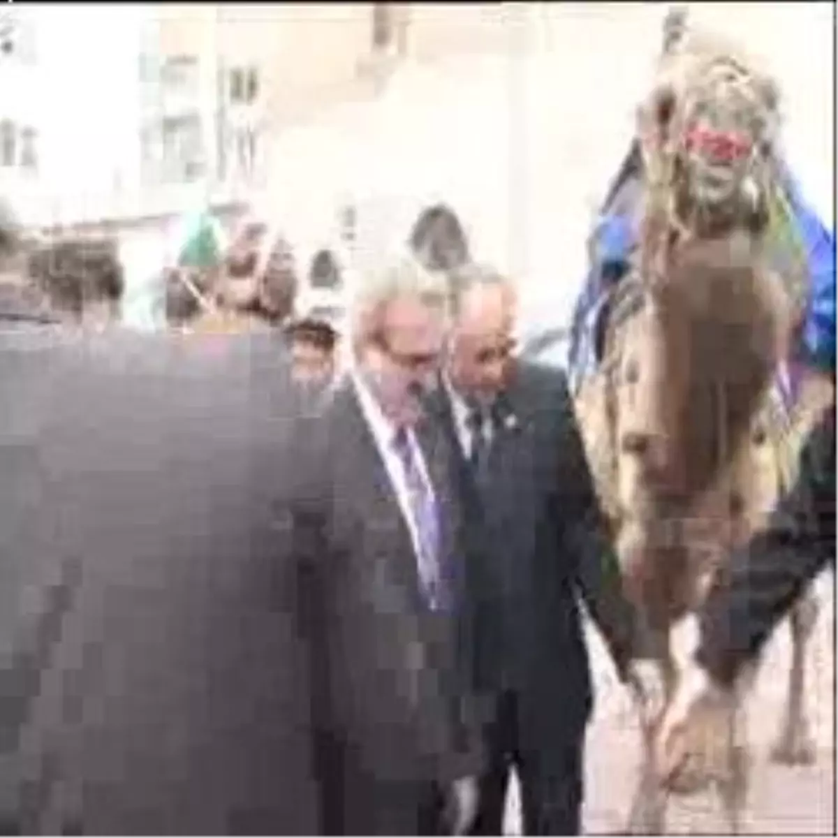 Eminönü Meydanı\'nda Deve Kervanı