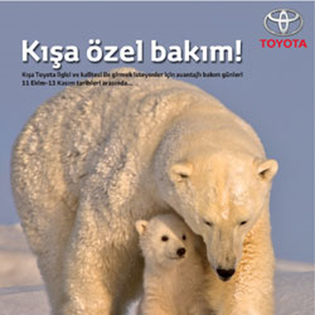 Toyota Plazalarda Kışa Özel Bakımlar