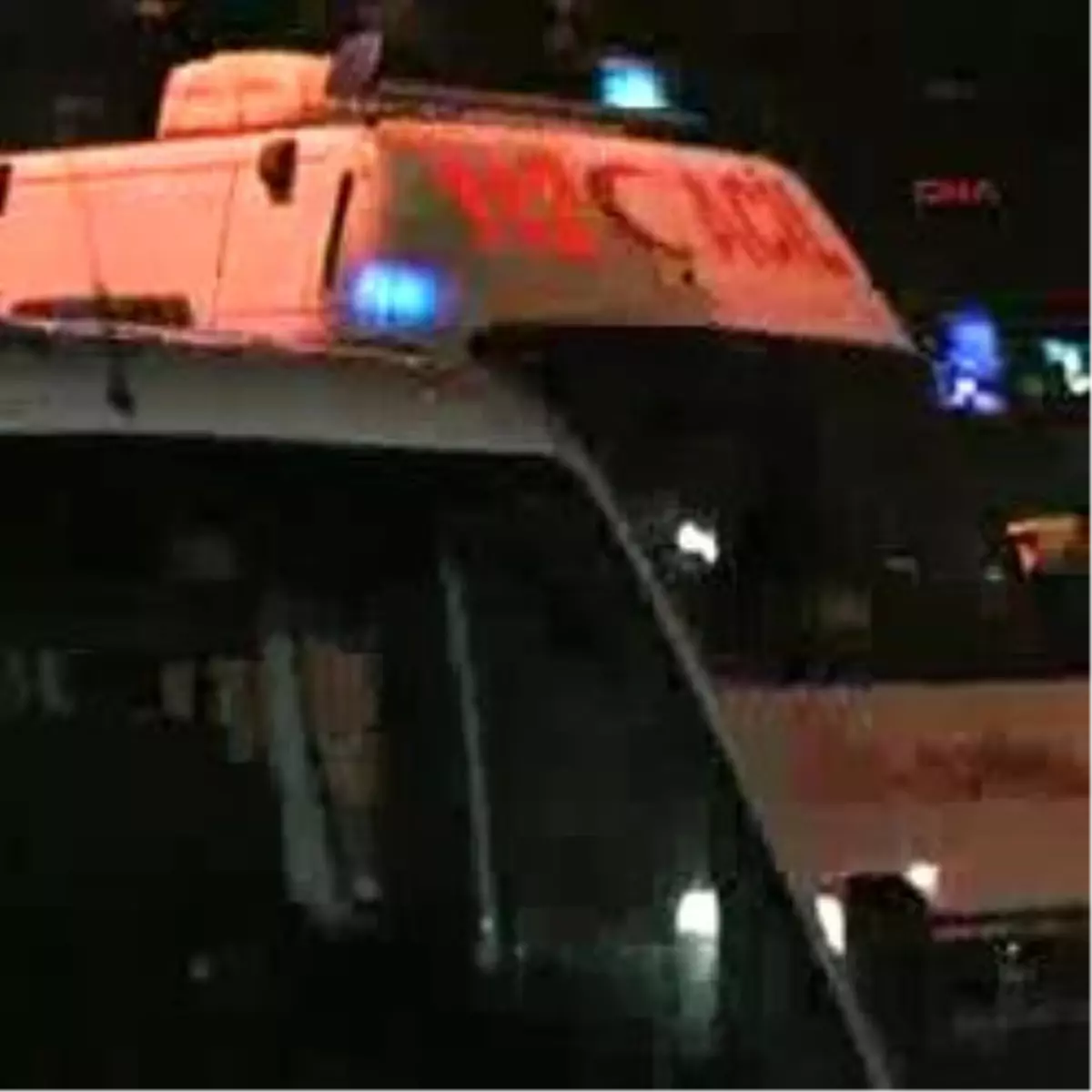 Köpeğini Yatağa Aldı, Sevgilisinden Dayak Yedi