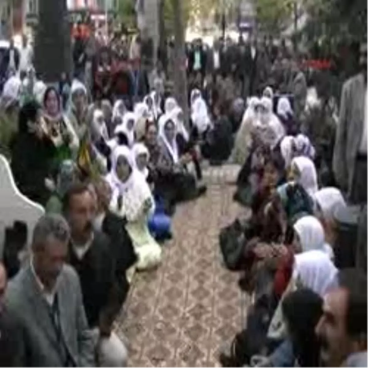 Van\'da, Roj Tv\'ye Destek Eylemi