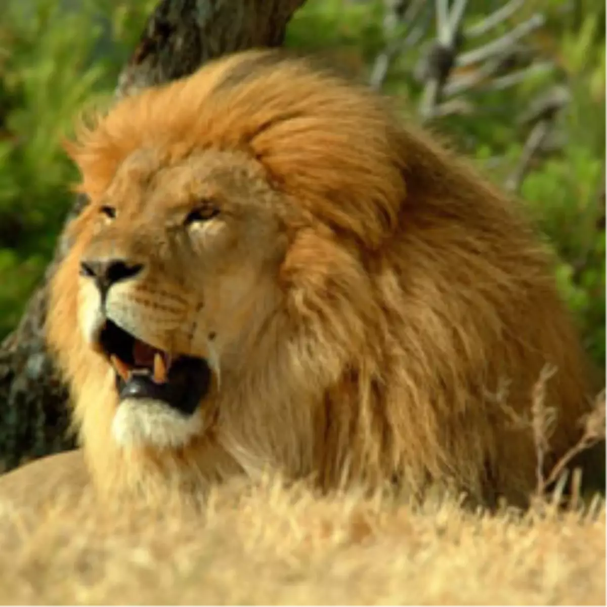 Her Perşembe 'The Most Extreme' Scı Tech Tv