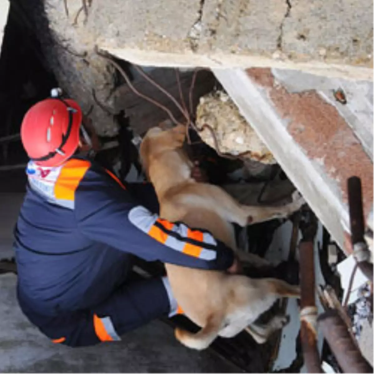 'Bizim Çocuklar' Parmak Isırttı
