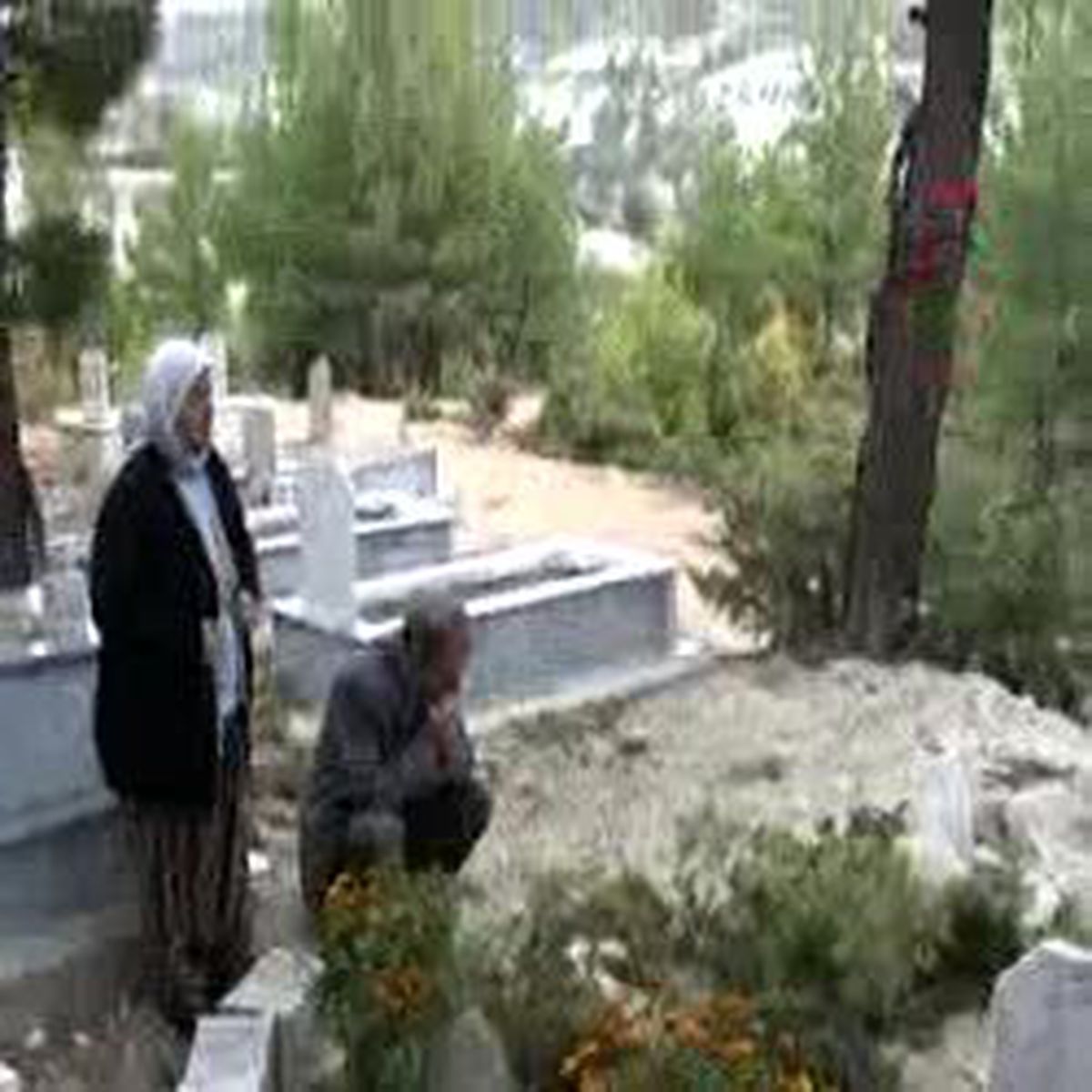 Aile Israrlı: Kaza Araştırılsın