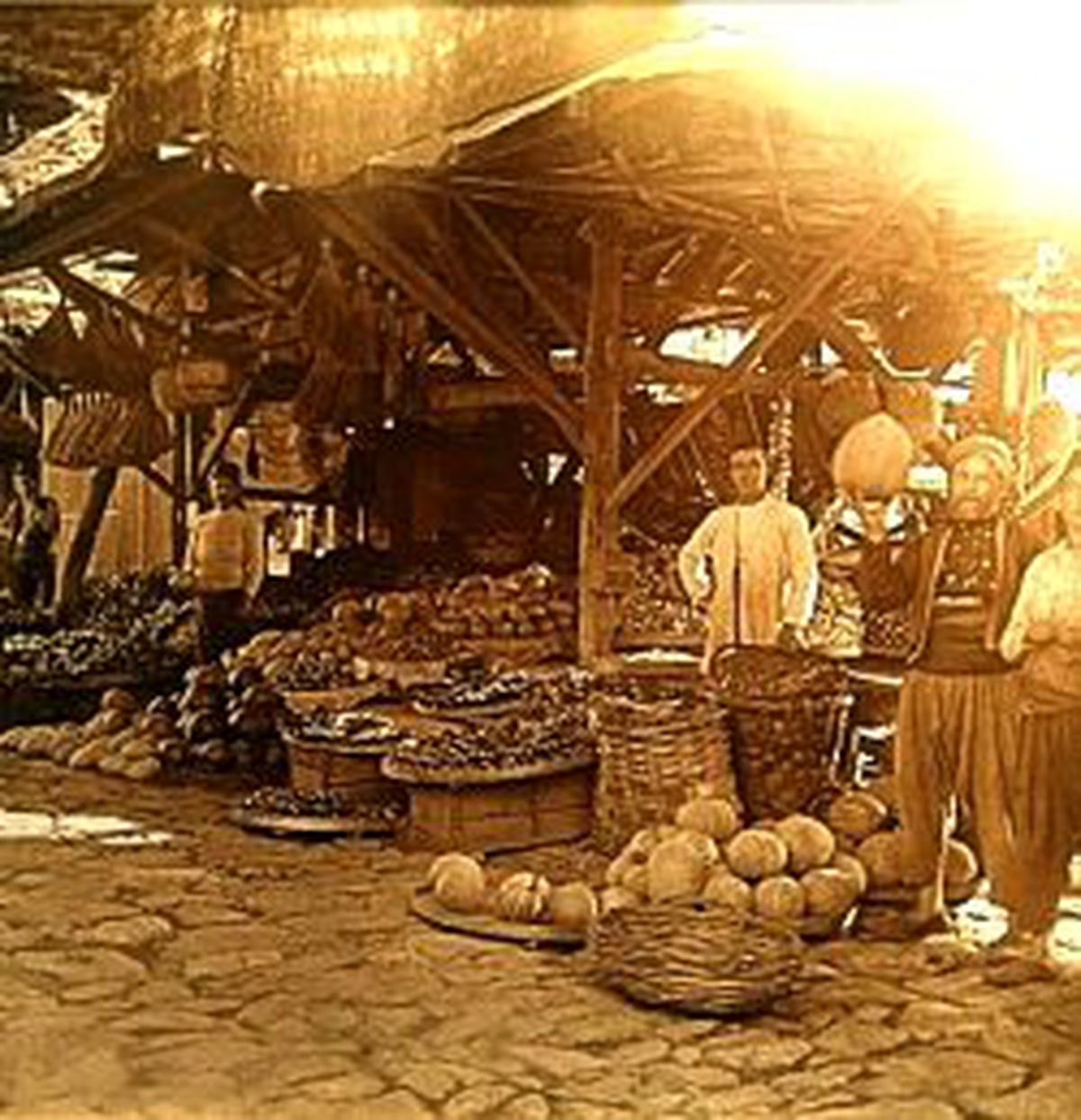 Fotoğraf Ortak Dil Oldu