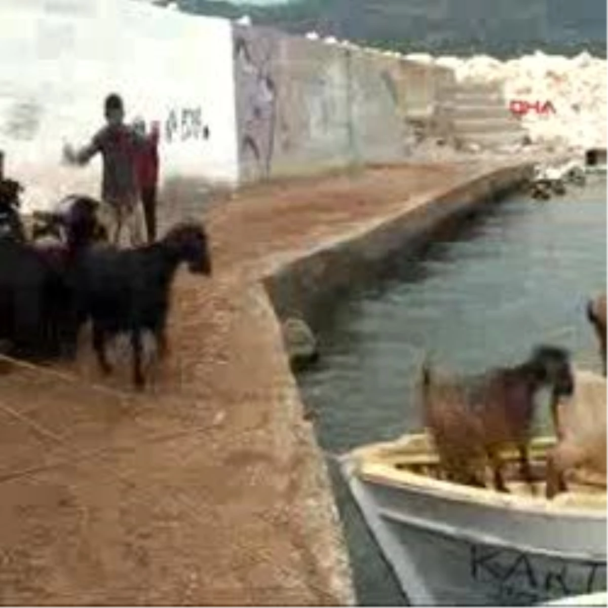 Keçiler Kekova Adası\'na \'Tatil\'e Götürüldü