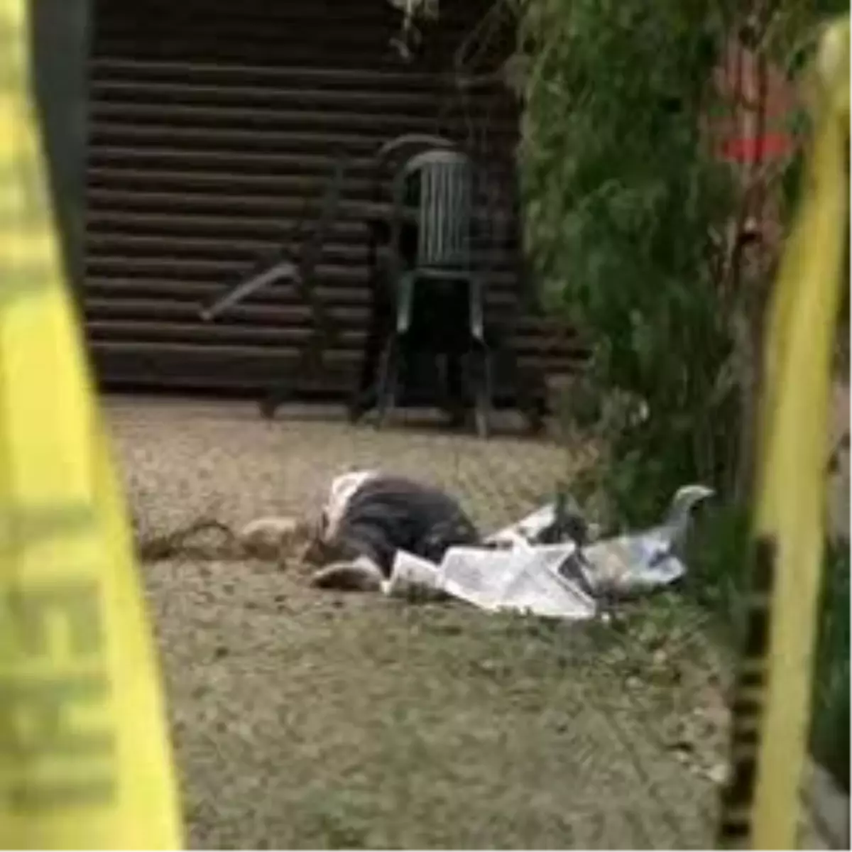 Mit Emeklisi Ölü Bulundu