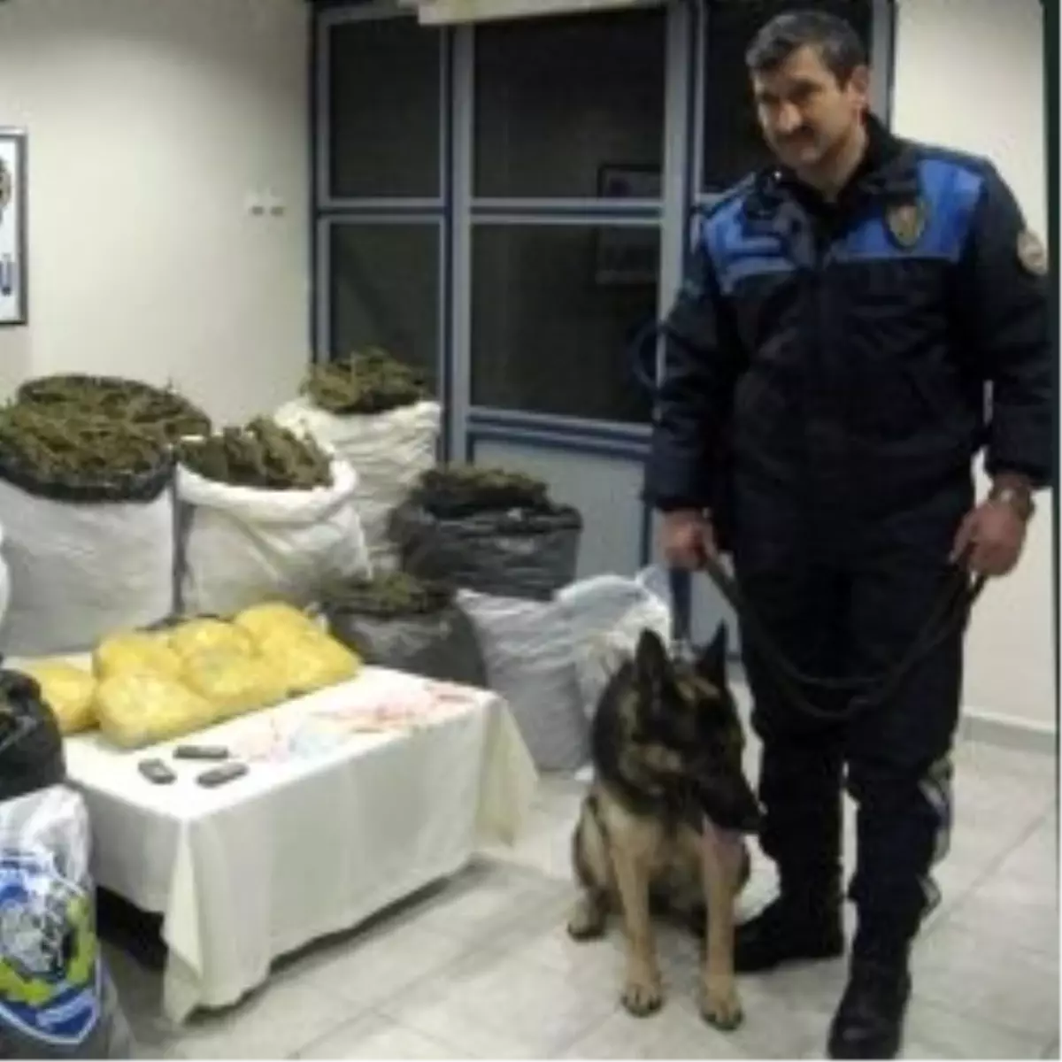 6 Ton Esrar Ele Geçirildi