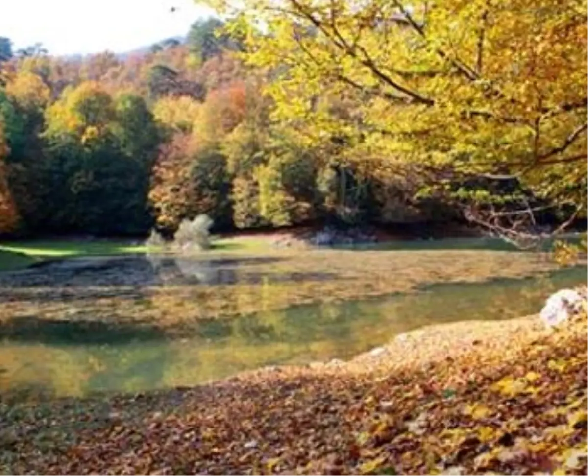 Yedigöller\'de Kızıl Güzellik